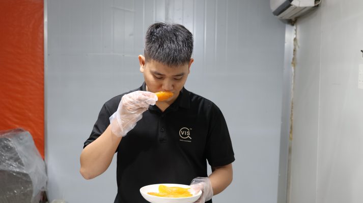 Dried-food-inspection-by-vis-global.jpeg