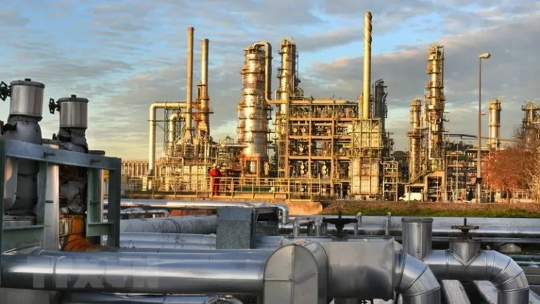 Despite the bans, Russian energy export revenue is forecast to increase