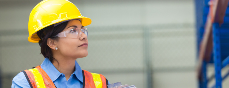Risk Management and Auditing: A Shield for Business Protection and a Compass for Growth?