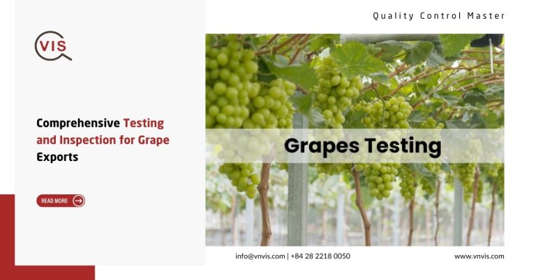 Comprehensive Testing and Inspection for Grape Exports
